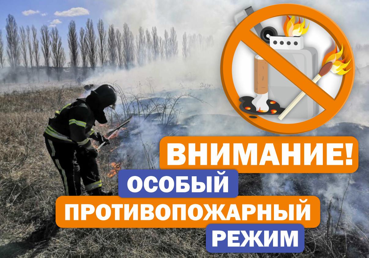 Введен особый противопожарный режим.