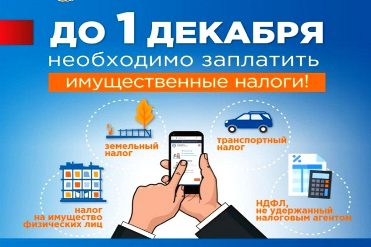 До 1 декабря необходимо заплатить имущественные налоги. До 1 декабря необходимо заплатить имущественные налоги.